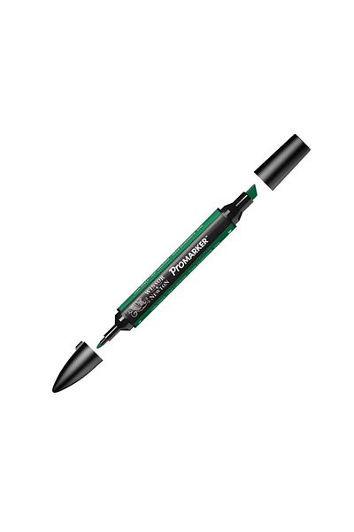 Winsor Newton Promarker Double Ended Alcohol Based Graphic Drawing Pen Lush Green 228 (G756)