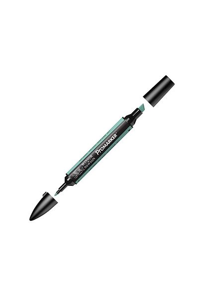 Winsor Newton Promarker Çift Uçlu Alkol Bazlı Grafik Çizim Kalemi Soft Green 275 (G817)
