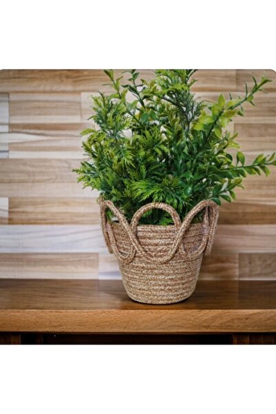bayram taşcıoğlu home desing Mini Boy,Bambu Görünümlü Hasır Sepet Saksılık.He...