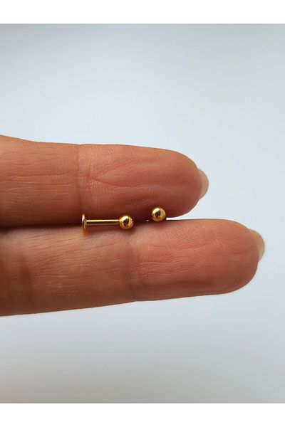 kurukafagift Gold Color Surgical Steel Ball - Piercing Tragus Helix Lobe Conch Cartilage 6 mm