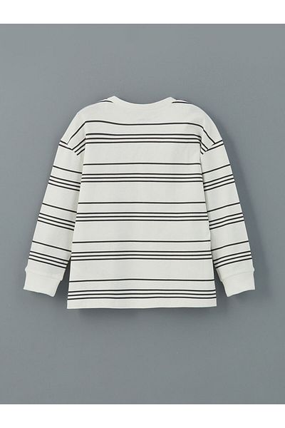 LC Waikiki Crew Neck Striped Boy T-Shirt