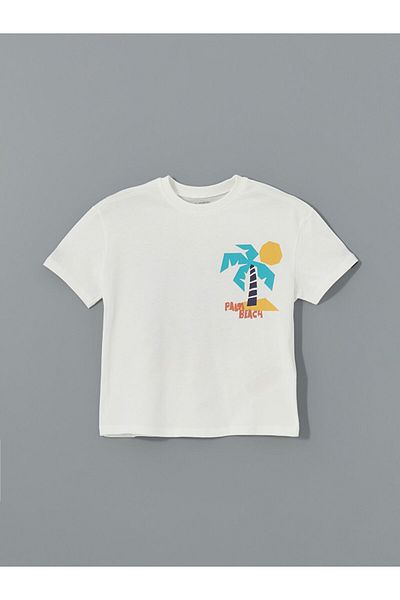 LC Waikiki New Season Crew Neck Printed Boys T-Shirt - S5Cl09Z1