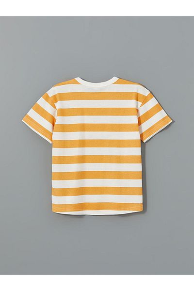 LC Waikiki Crew Neck Boy's T-Shirt