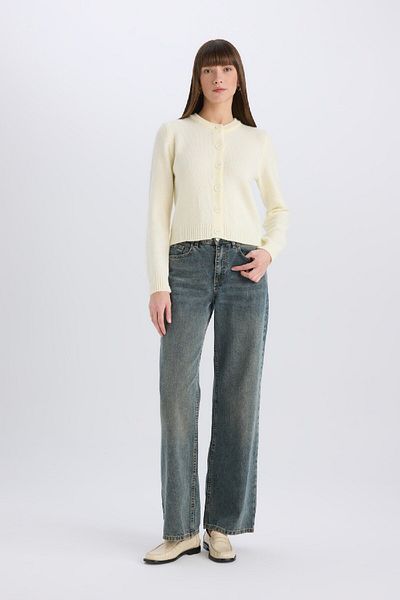 DeFacto Basic-Strickjacke mit flachem Knopf und normaler Passform, Rundhalsausschnitt, E3654AX25SP