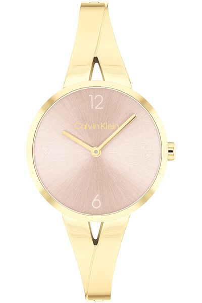 Calvin Klein Ck 25100027   Model Women's Wristwatch
