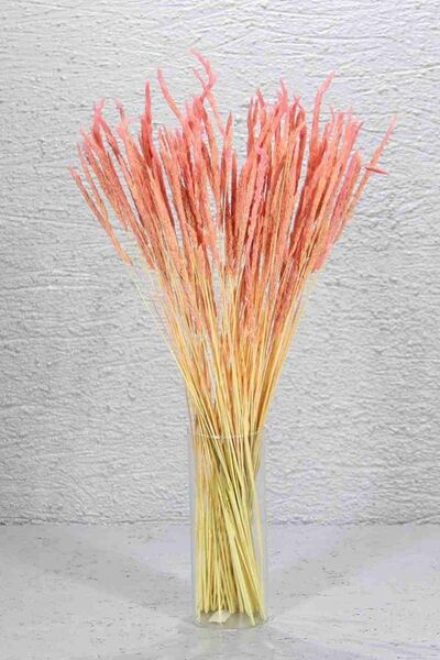 Dekorsende Kurutulmuş Deniz Solucanı Otu Demeti Pembe