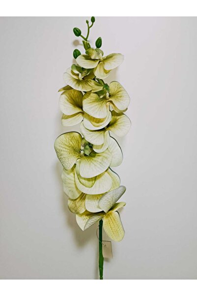 OSO HOME Yapay Dal Baskılı Islak Doku Orkide Çiçeği 88 Cm Haki- Yeşil