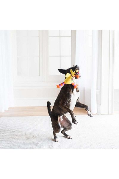 Fat Cat Barnyard Bullies Durable Canvas Fabric Chicken Dog Toy with Sound 38X8X13 cm