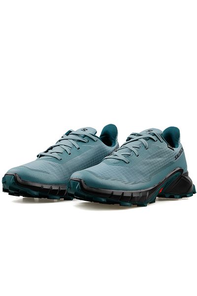 Salomon Alphacross 5 Blue Gore-Tex Waterproof Running and Trekking Outdoor Shoes