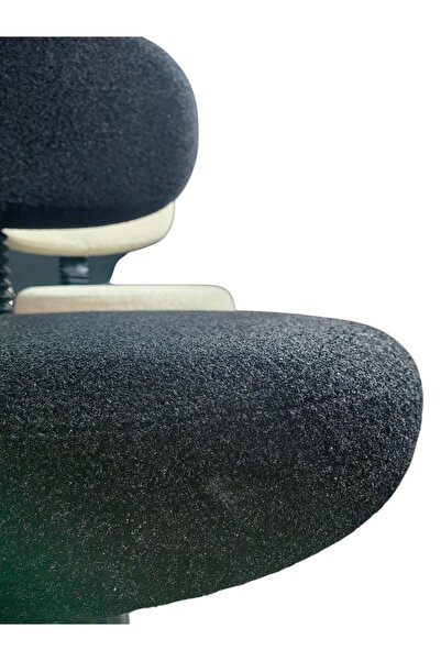 gizmo mobilya Bukle Model, Ofis, Laboratuvar Yüksek Çalışma Taburesi