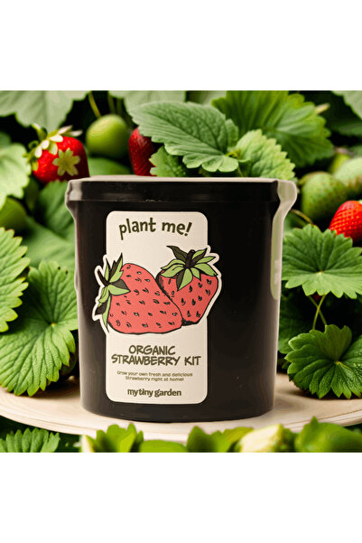My Tiny Garden - Çilek Yetiştirme Kiti
