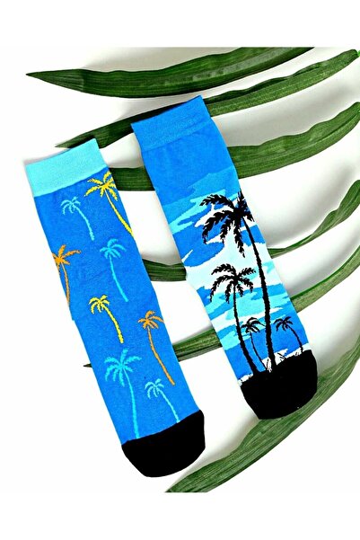 Teki Farklı Renkli Çorap Palmiye Hawaii Desenli
