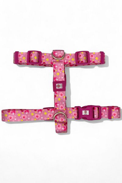 CARAMELOS Medium and Large Arc Htype Dog Chest Collar