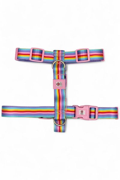 CARAMELOS Medium and Large Arc Htype Dog Chest Collar