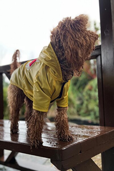 faramiss fashion KÖPEK MONT AYICIK İŞLEMELİ