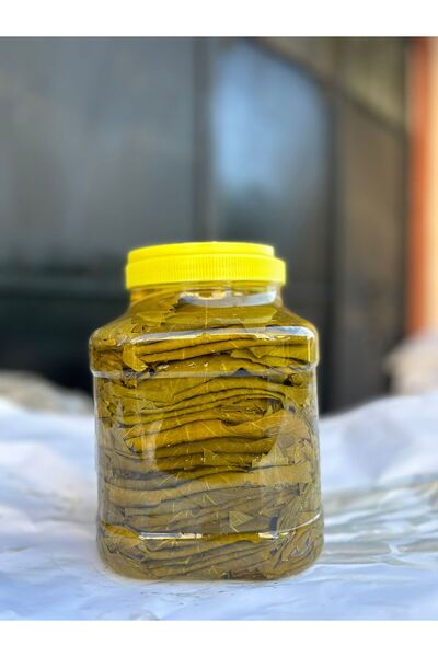 HOSANLI Tokat Erbaa Damarsız Ince Asma Yaprağı 3 Kg Salamura Yaprak Taze Mahsül