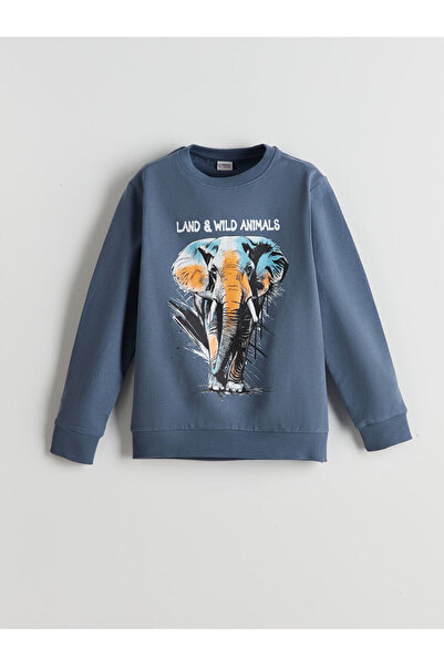 LC Waikiki Hanorac pentru băieți LCW Kids Crew Deck