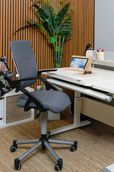Creo Mobili Vega Kurumsal Ofis Kullanımına Uygun Konforlu Sandalye, Çalışma Koltuğu - Antrasit/Antrasit