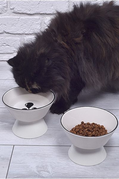HızlıTrend 2-Piece Ceramic Food and Water Bowl with Feet (400ml)