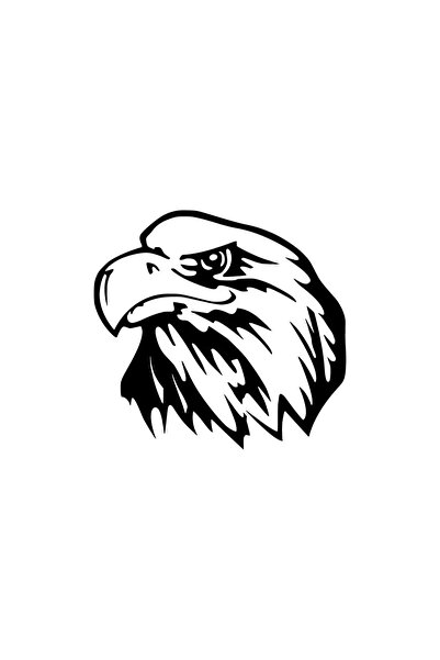 Kormoz ملصق ديكور على الحائط على شكل نسر 40 × 40 سم