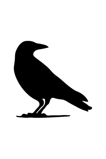 Generic Brand ملصق الغراب 20 × 20 سم