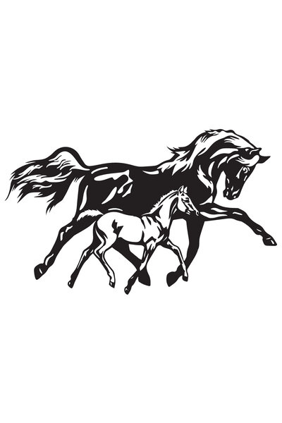 BİLGİMOLA ملصق الحصان والشبل من النوع 1 مقاس 20 × 12 سم