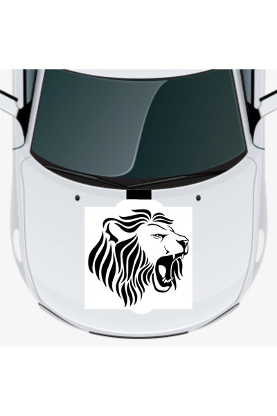 TeOraStore ملصق غطاء محرك السيارة ارسلان 40 × 40 سم