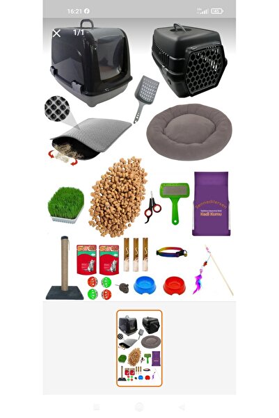 ENES 23 Parça Kedi Başlangıç Seti