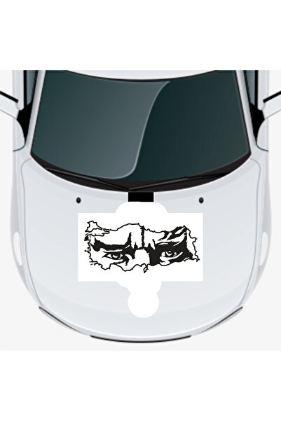 Allivo ملصق عالي الجودة على شكل خريطة تركيا مع صورة ظلية لأتاتورك، مقاس 40 × ...