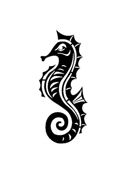 BİLGİMOLA ملصق حصان البحر 10 × 23 سم