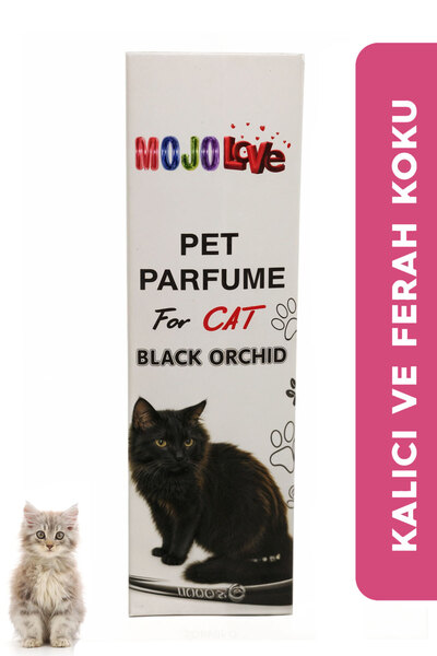MOJO Love Kedi Parfümü Black Orchıd
