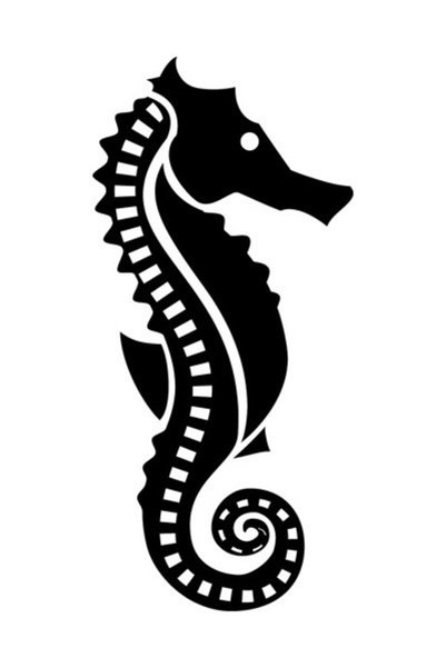 pınaxar Sea Horse 1 Sticker A+Quality 10 X 25 cm Durable