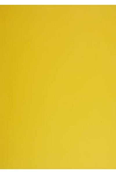 STOREMAX Muartshop Background Cardboard, 25X35, Mixed, 10 Pcs 871301