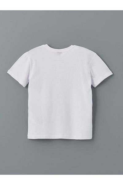 LC Waikiki Crew Neck Boy's T-Shirt