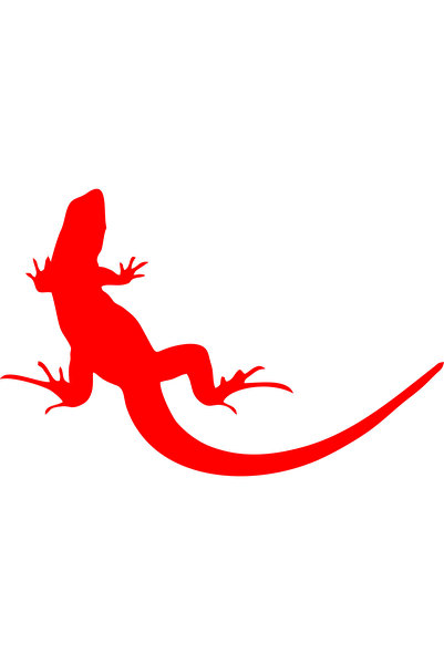 Birim Matbaa Lizard Car Sticker(26X17 cm)