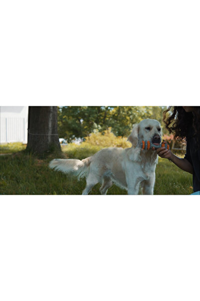 TwisstyDog - Kauçuk Diş Ve Dil Temizleyici Köpek Çiğneme Oyuncağı