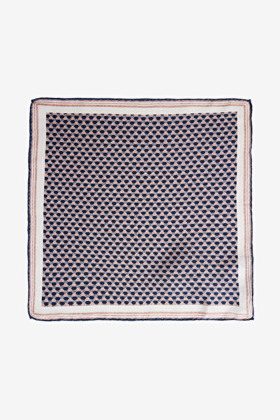 ALTINYILDIZ CLASSICS Erkek Bej-Lacivert İpek Mendili