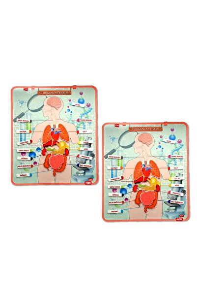Tox مجموعتان - 52 قطعة من لوحات الحائط اللباد لنظام الأعضاء الداخلية، لعبة تع...