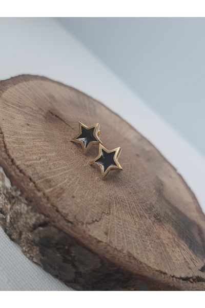 kurukafagift Stainless Steel Nail Model - Star Pattern Men's Earrings with Enameled Centerpieces 2 Pieces