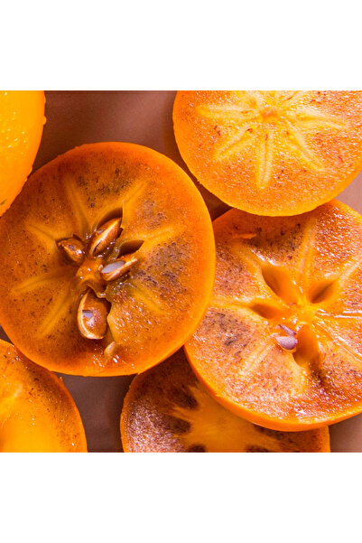 Tunç Botanik ÇİKOLATALI HARBİYE HURMA FİDANI (KAKAOLU)