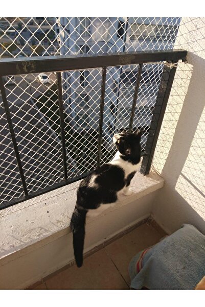 KONAK FİLE Kedi Filesi, Balkon Koruma Filesi 2.5metrex4metre