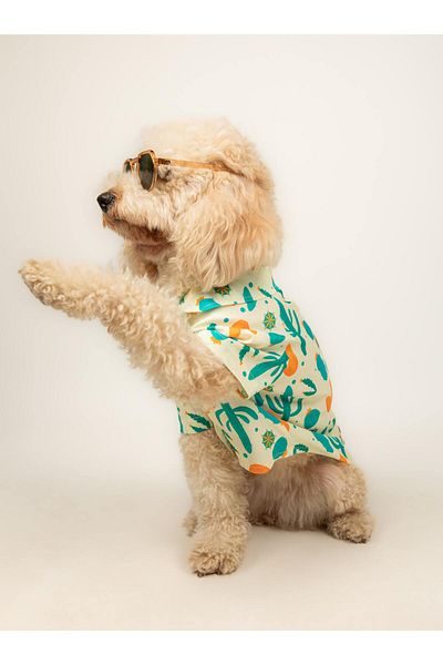 Buf & Buf Cactus Paw - Summer Cat Dog Shirt Small Medium Breed Custom Printed