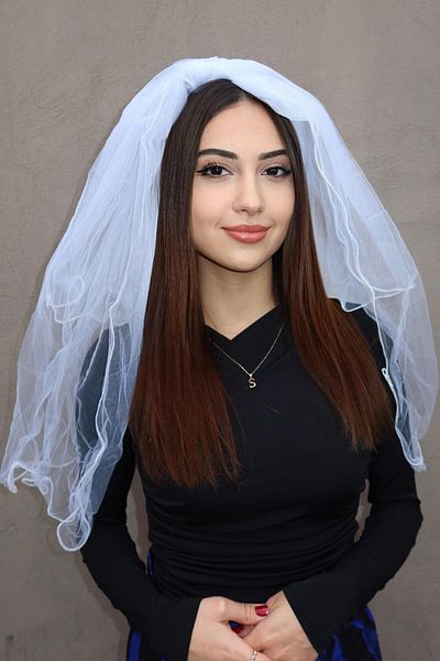 TAKIŞTIR طرحة زفاف بيضاء - بعد الحفلات مع مشبك مشط