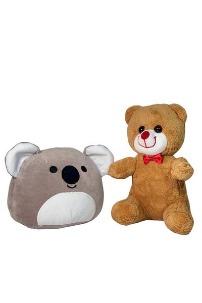 esdishopping 25cm Teddy Bear and Cute Koala Plush Toy 2-Piece Cute Squishy Gift Pack