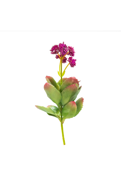 Warm Design Artificial Adenium Obesum