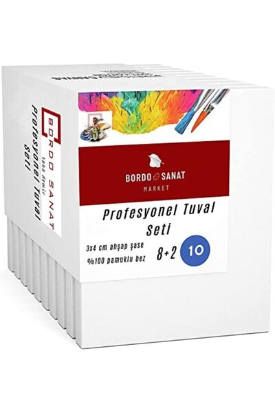Profesyonel Tuval Seti