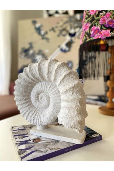 MIARIK DESIGN & DEKORASYON Deniz Kabugu obje