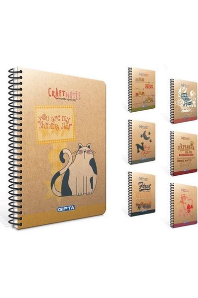 Gıpta Craftnotes 17x24 100 ورقة مخططة