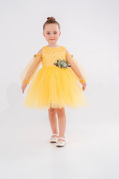 Eray Kids Girl's Evening Dress, Glittery Flower Detail, Off-The-Shoulder Tulle Sleeves, Age 4-7