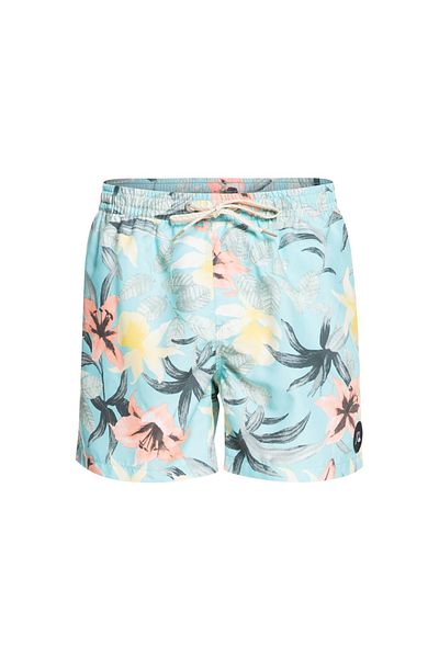Quiksilver Men's Volley Short Everyday Garden Path Volley 15 Blue Men's Volley Short